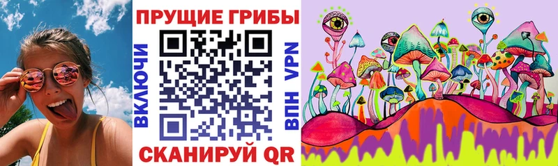 купить кракен онион Псилоцибиновые грибы GOLDEN TEACHER Козловка